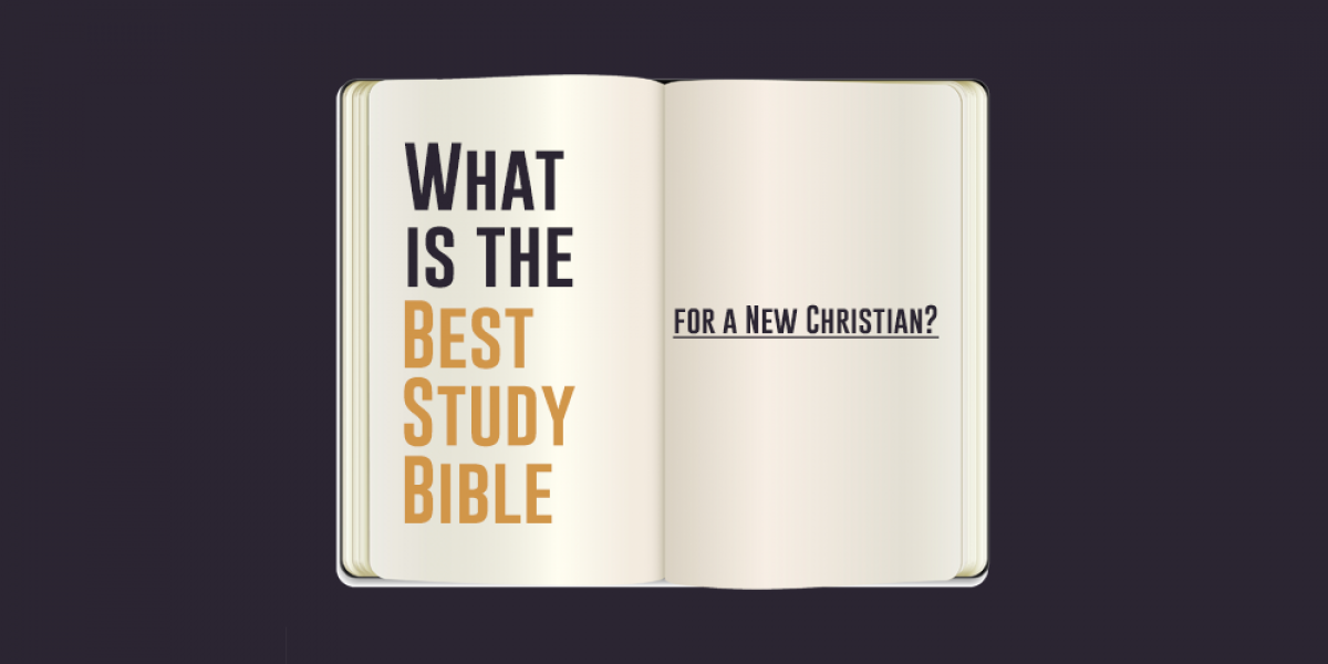 What is the Best Study Bible for a New Christian?